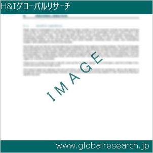 グローバルリサーチ調査レポートのイメージ
